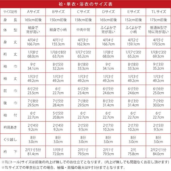 HANAE MORI (Prices down2)セミオーダー 洗える着物「藤鼠色 縞に雪輪」化繊着物 ハナエモリ お仕立て代込み 小紋 洒落着ss2509kck25 - 画像 (3)