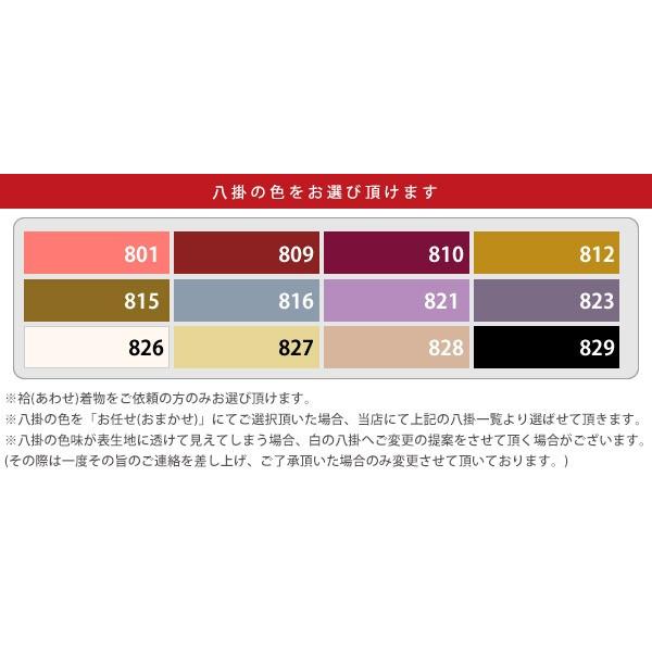 HANAE MORI (Prices down2)セミオーダー 洗える着物「藤鼠色 縞に雪輪」化繊着物 ハナエモリ お仕立て代込み 小紋 洒落着ss2509kck25 - 画像 (4)