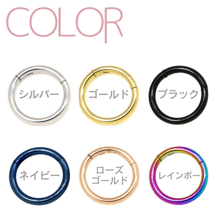 ボディピアス 18G 16G 14G リング セグメントリング ワンタッチ 軟骨 ピアス ボディピ サージカルステンレス - 画像 (5)