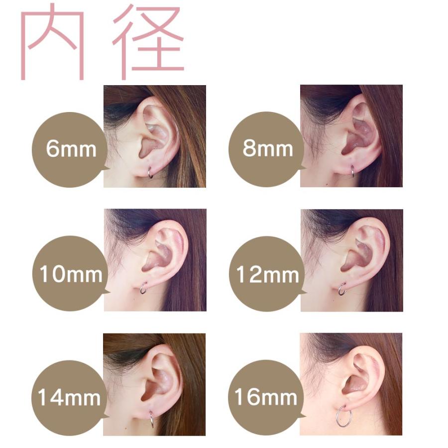 ボディピアス 18G 16G 14G リング セグメントリング ワンタッチ 軟骨 ピアス ボディピ サージカルステンレス - 画像 (7)
