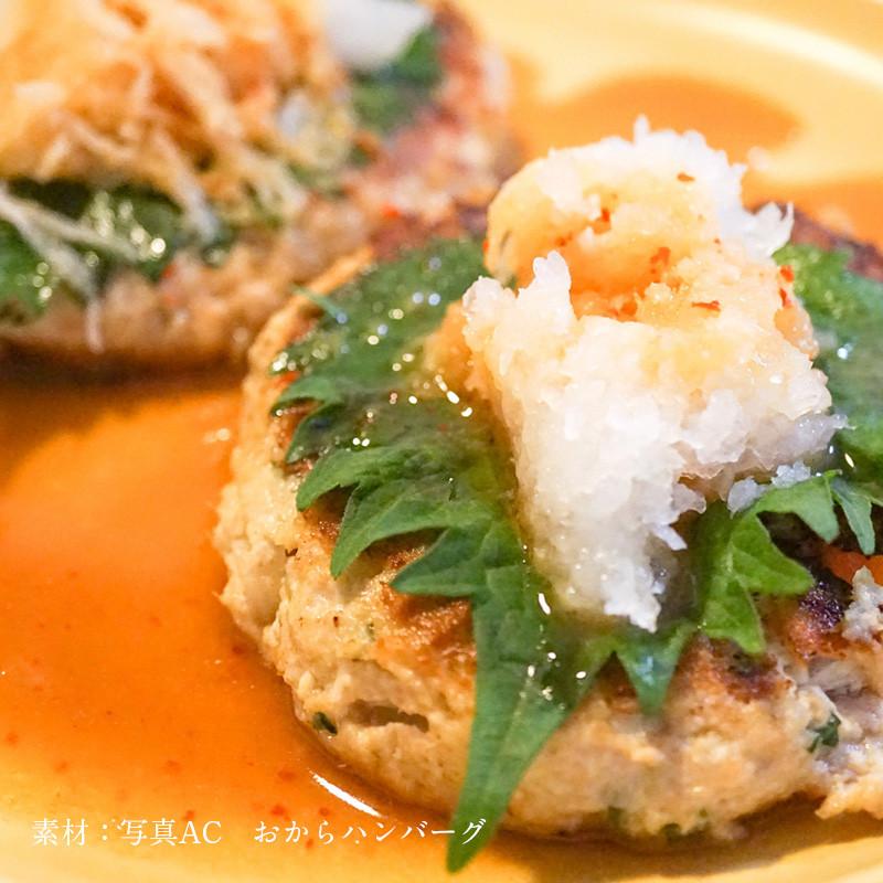 国産大豆【京都産大豆だけのおから 250g】国産無添加おから 京・美山ゆばゆう豆 - 画像 (6)